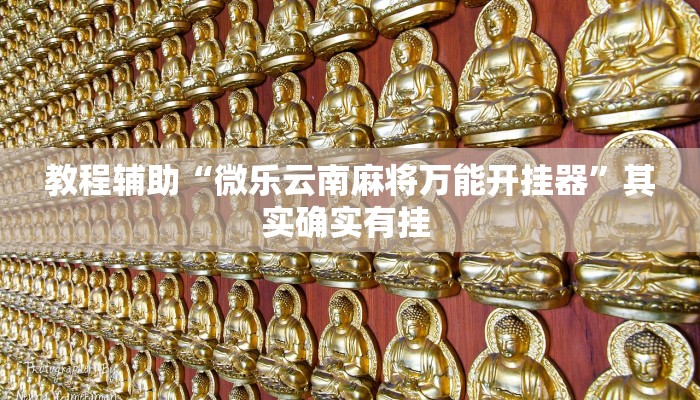 教程辅助“微乐云南麻将万能开挂器”其实确实有挂 