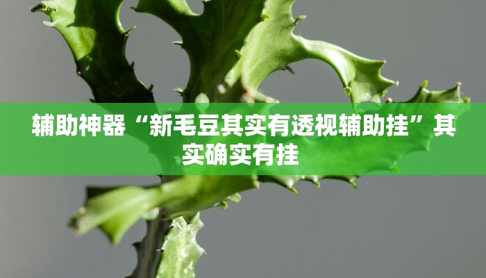 辅助神器“新毛豆其实有透视辅助挂”其实确实有挂 辅助神器“新毛豆其实有透视辅助挂”其实确实有挂
