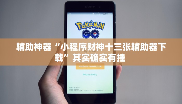 辅助神器“小程序财神十三张辅助器下载”其实确实有挂 