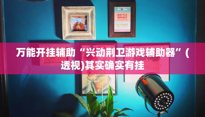 万能开挂辅助“兴动荆卫游戏辅助器”(透视)其实确实有挂 万能开挂辅助“兴动荆卫游戏辅助器”(透视)其实确实有挂