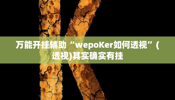 万能开挂辅助“wepoKer如何透视”(透视)其实确实有挂 万能开挂辅助“wepoKer如何透视”(透视)其实确实有挂