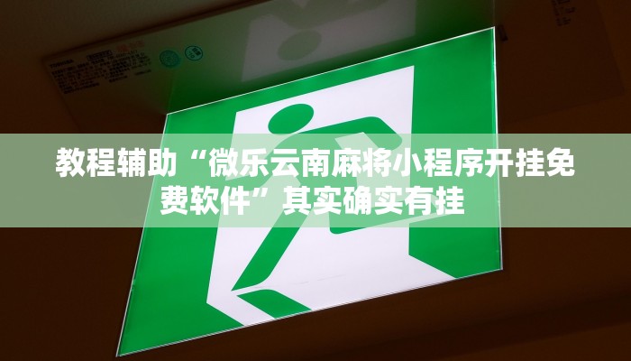 教程辅助“微乐云南麻将小程序开挂免费软件”其实确实有挂 教程辅助“微乐云南麻将小程序开挂免费软件”其实确实有挂