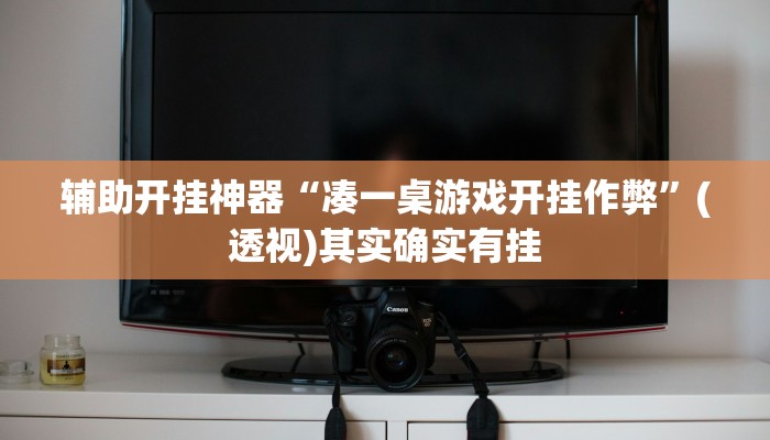 辅助开挂神器“凑一桌游戏开挂作弊”(透视)其实确实有挂