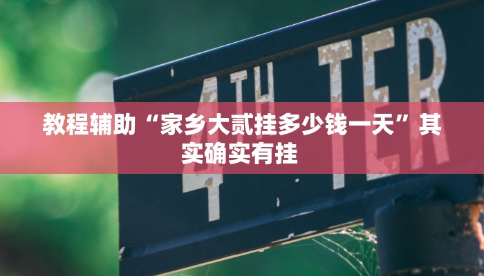 教程辅助“家乡大贰挂多少钱一天”其实确实有挂 