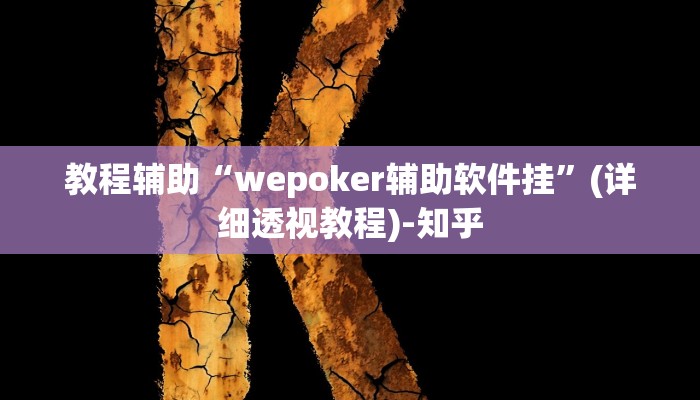 教程辅助“wepoker辅助软件挂”(详细透视教程)-知乎