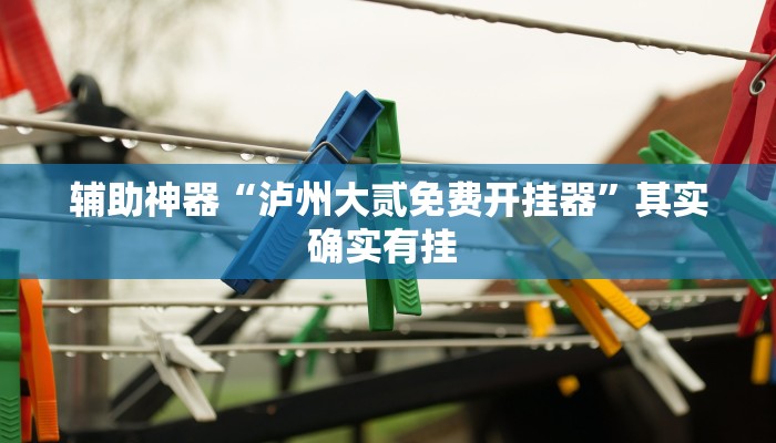 辅助神器“泸州大贰免费开挂器”其实确实有挂 辅助神器“泸州大贰免费开挂器”其实确实有挂