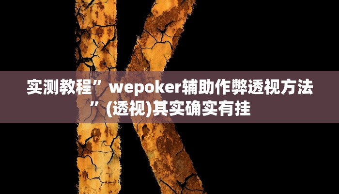 实测教程”wepoker辅助作弊透视方法”(透视)其实确实有挂