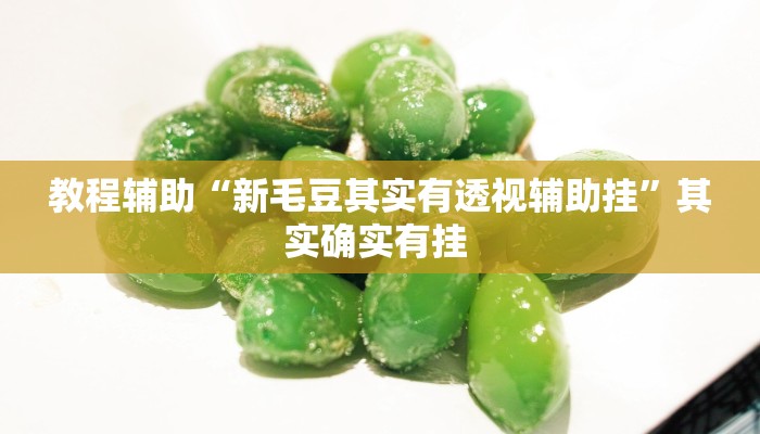 教程辅助“新毛豆其实有透视辅助挂”其实确实有挂 