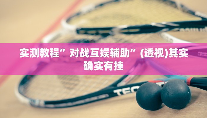 实测教程”对战互娱辅助”(透视)其实确实有挂
