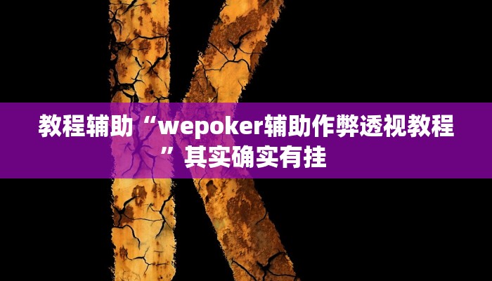 教程辅助“wepoker辅助作弊透视教程”其实确实有挂 